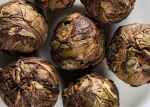 Smocze Perły Pai Mu Tan - Fuding Longzhu Baicha Organic - herbata biała