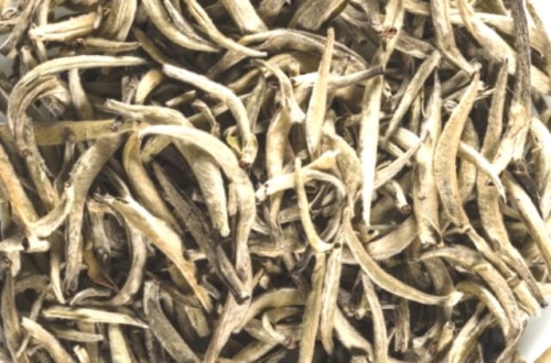 Guangxi Silver Needle.jpg