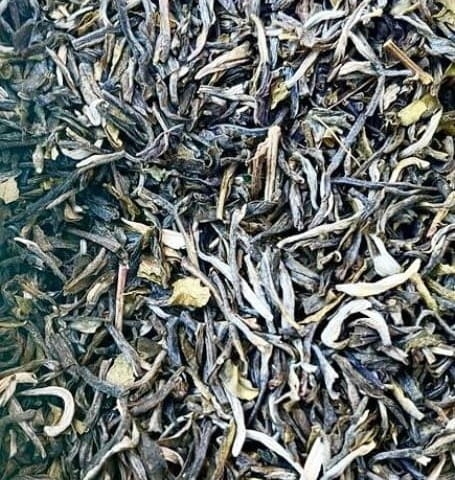 menghai.jpg