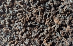 Tajwański Ming Jian Czerwony Oolong - herbata oolong Premium