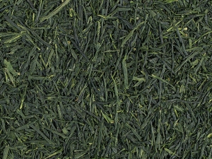 Shincha Saemidori  Organic- japońska zielona herbata ze zbiorów 2026