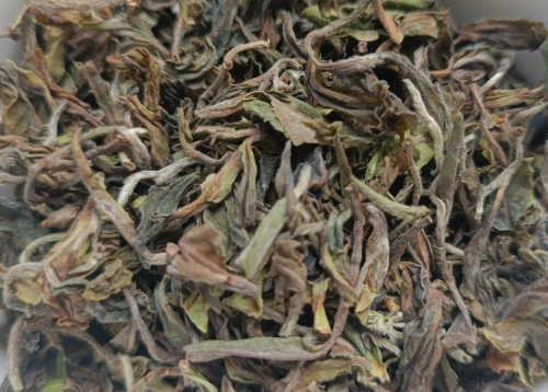 darjeeling Giddapahar.jpg