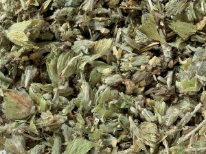 Gojnik (Sideritis Scardica) - Herbata Górska