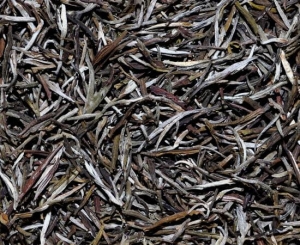 Yellow Tea China Huang Ya Yellow Tips - herbata żółta