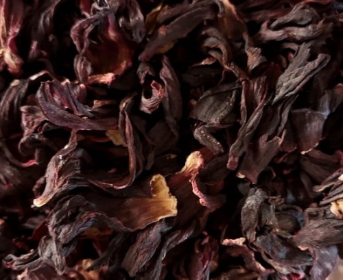 Hibiskus.jpg