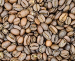  Kawa Dominikana Barahona AA BIO