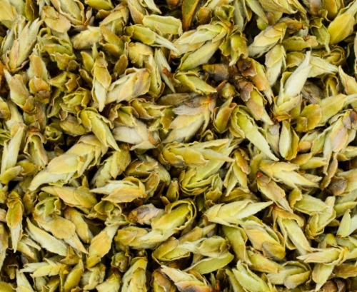 bao buds (2)-2.jpg