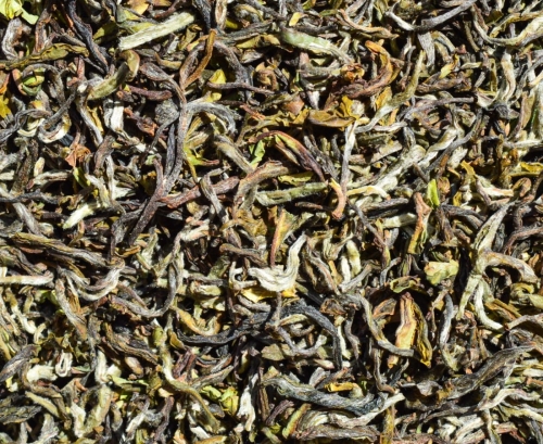 nepal pathivara spring beauty.jpg
