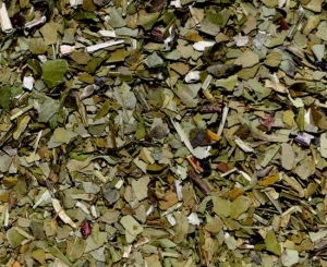 Yerba Mate Zielona Organic - brazylijska yerba mate